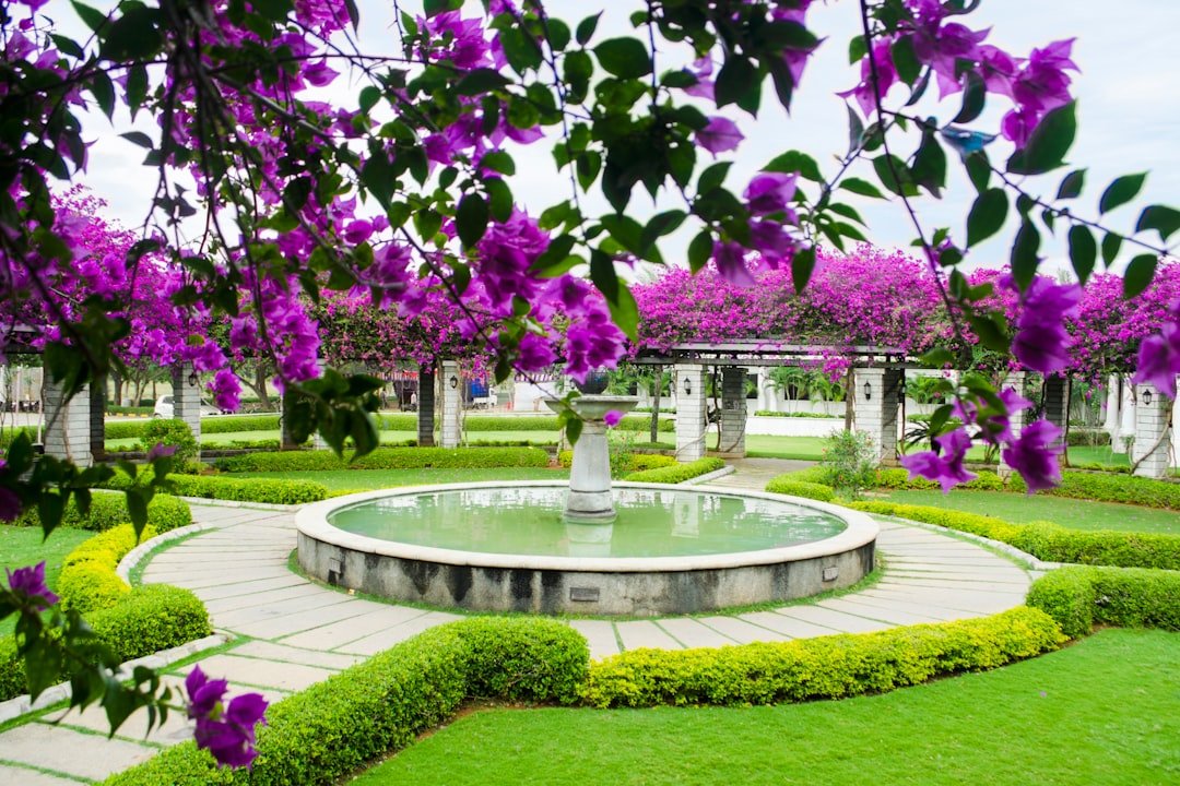 lush-green-lawn-XEBASsgifEc Water fountain with pathways near flowers during day